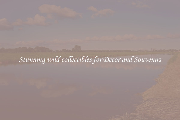 Stunning wild collectibles for Decor and Souvenirs