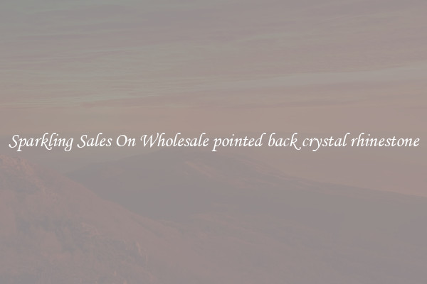 Sparkling Sales On Wholesale pointed back crystal rhinestone