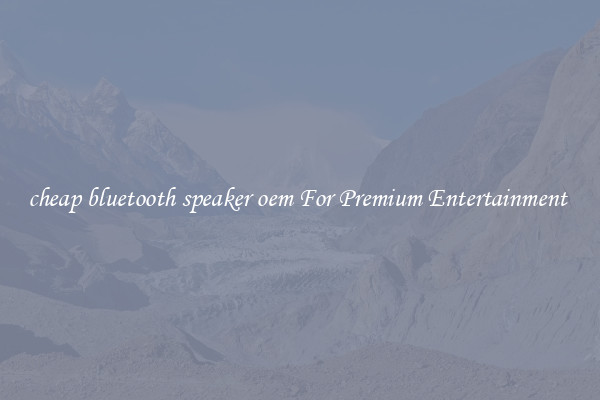 cheap bluetooth speaker oem For Premium Entertainment 