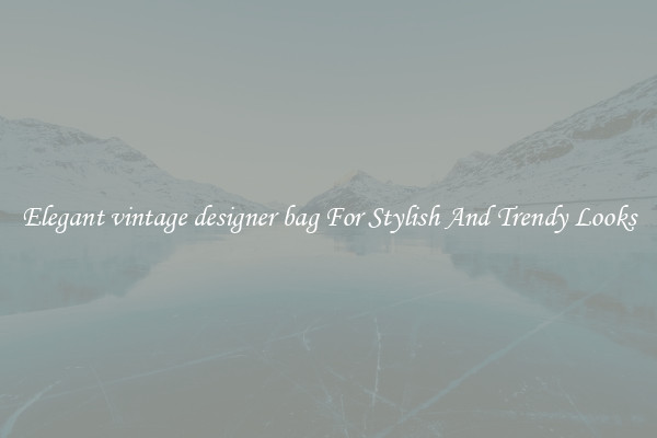 Elegant vintage designer bag For Stylish And Trendy Looks