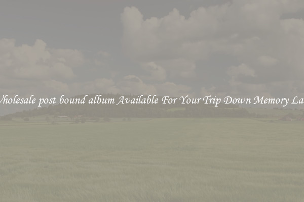 Wholesale post bound album Available For Your Trip Down Memory Lane