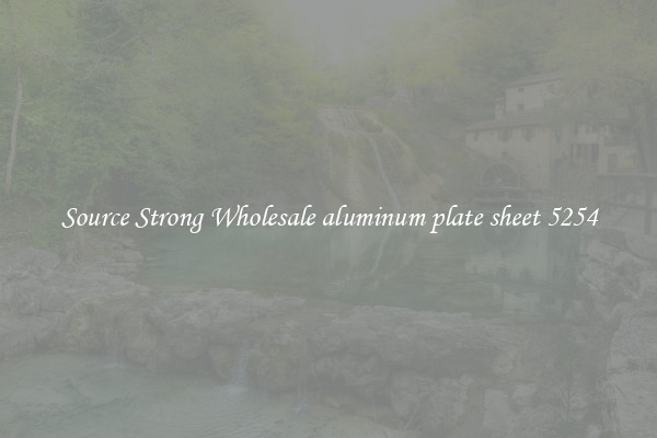Source Strong Wholesale aluminum plate sheet 5254