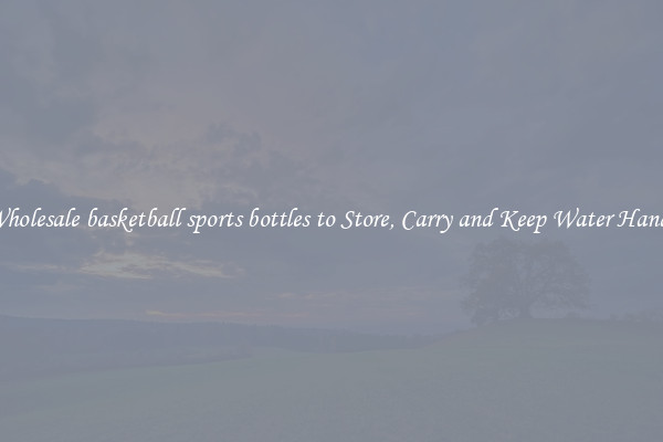 Wholesale basketball sports bottles to Store, Carry and Keep Water Handy