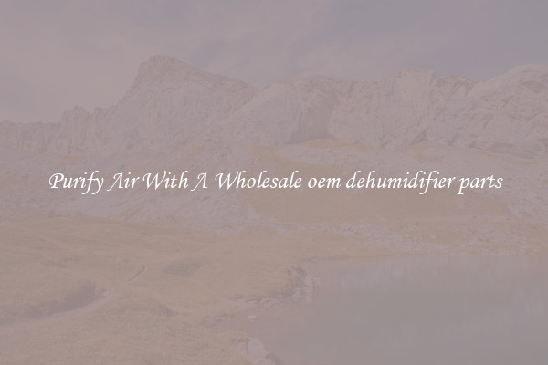 Purify Air With A Wholesale oem dehumidifier parts