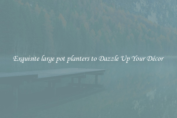 Exquisite large pot planters to Dazzle Up Your Décor 