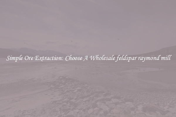 Simple Ore Extraction: Choose A Wholesale feldspar raymond mill