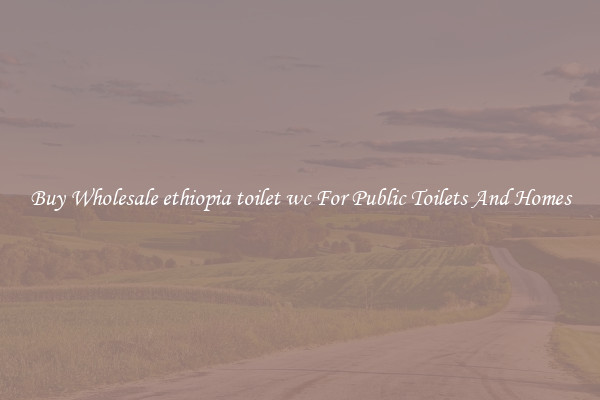 Buy Wholesale ethiopia toilet wc For Public Toilets And Homes