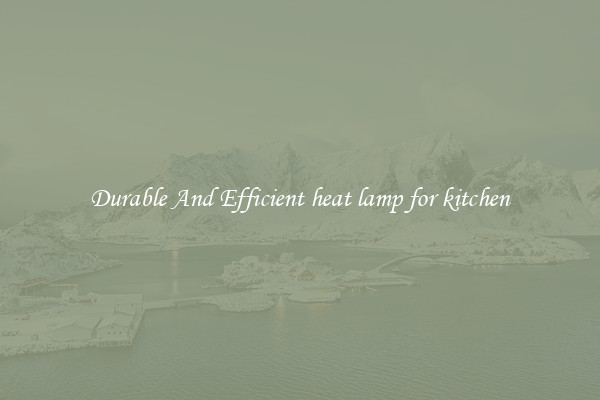 Durable And Efficient heat lamp for kitchen