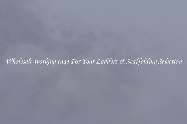 Wholesale working cage For Your Ladders & Scaffolding Selection