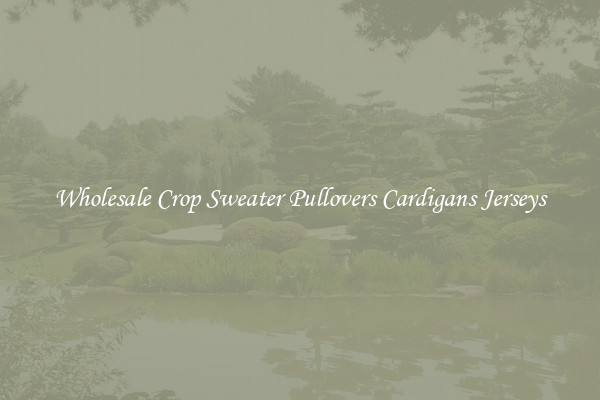 Wholesale Crop Sweater Pullovers Cardigans Jerseys