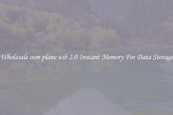 Wholesale oem plane usb 2.0 Instant Memory For Data Storage