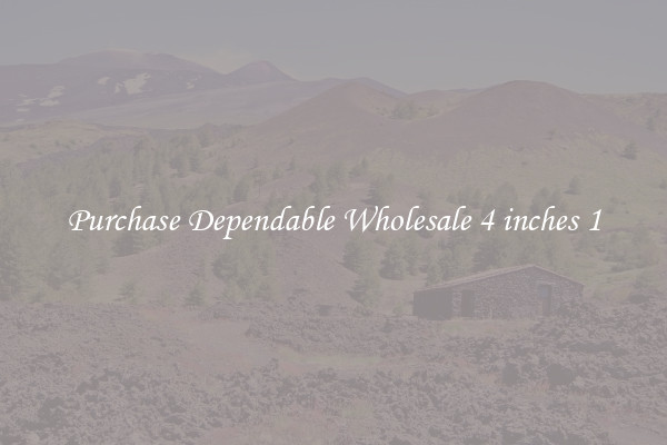 Purchase Dependable Wholesale 4 inches 1