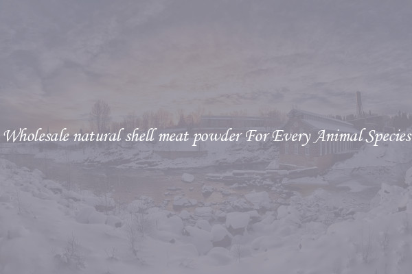 Wholesale natural shell meat powder For Every Animal Species