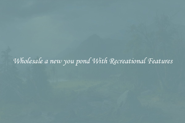 Wholesale a new you pond With Recreational Features