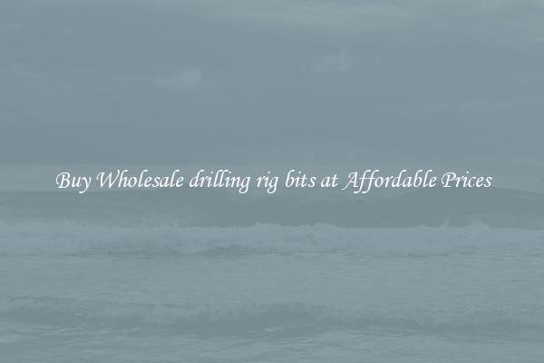 Buy Wholesale drilling rig bits at Affordable Prices