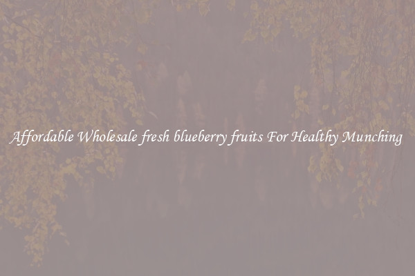 Affordable Wholesale fresh blueberry fruits For Healthy Munching 