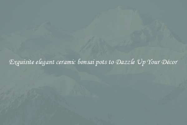 Exquisite elegant ceramic bonsai pots to Dazzle Up Your Décor 