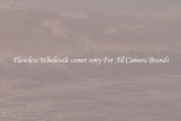 Flawless Wholesale camer sony For All Camera Brands