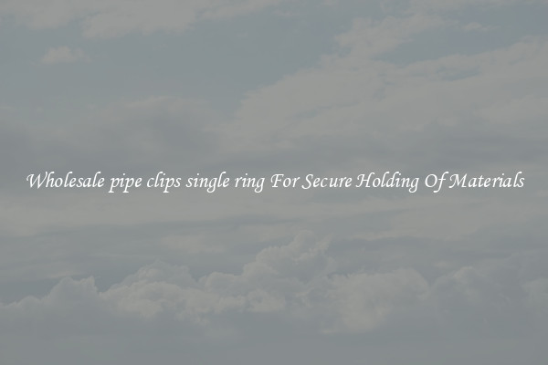 Wholesale pipe clips single ring For Secure Holding Of Materials