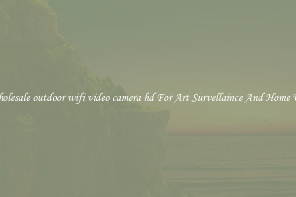 Wholesale outdoor wifi video camera hd For Art Survellaince And Home Use